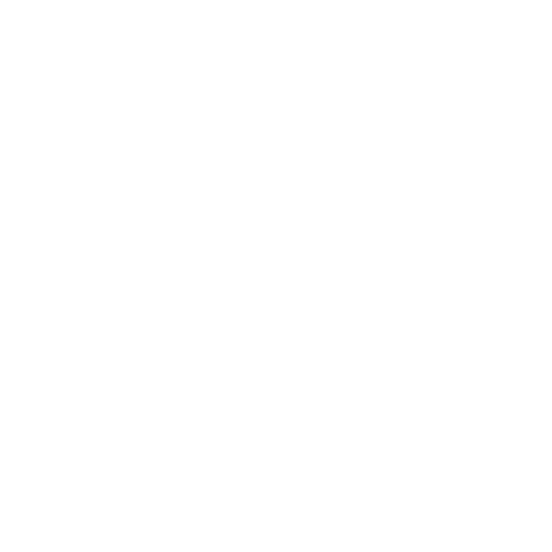 Asset_Compliance _ Governance