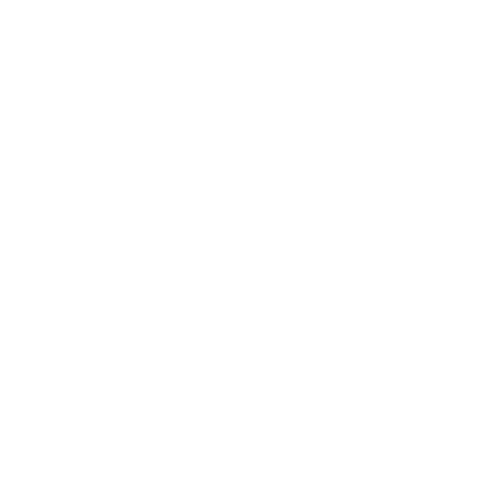 asset_Network Security