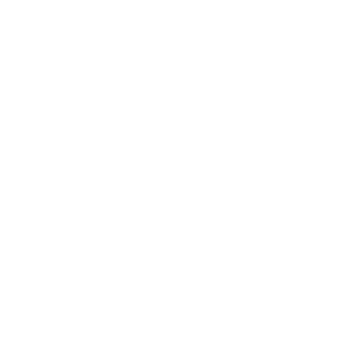 asset_Software Efficiency
