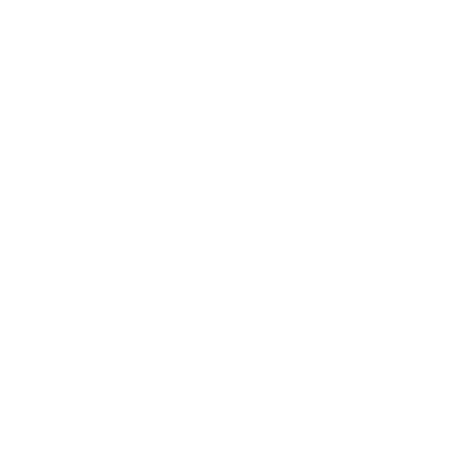 Security