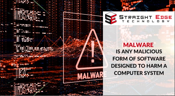 SE Malware graphic (1) 1